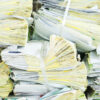 Mountains of Paperwork