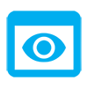 Video Monitoring Icon