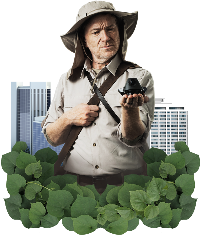 GPS Trackit Birdwatcher Lowers Your Insurance Rates