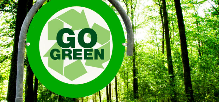 Does Going Green Really Save Money?