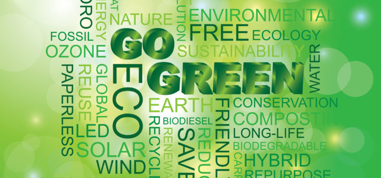 Go Green: Tips on Going Paperless in Your Office