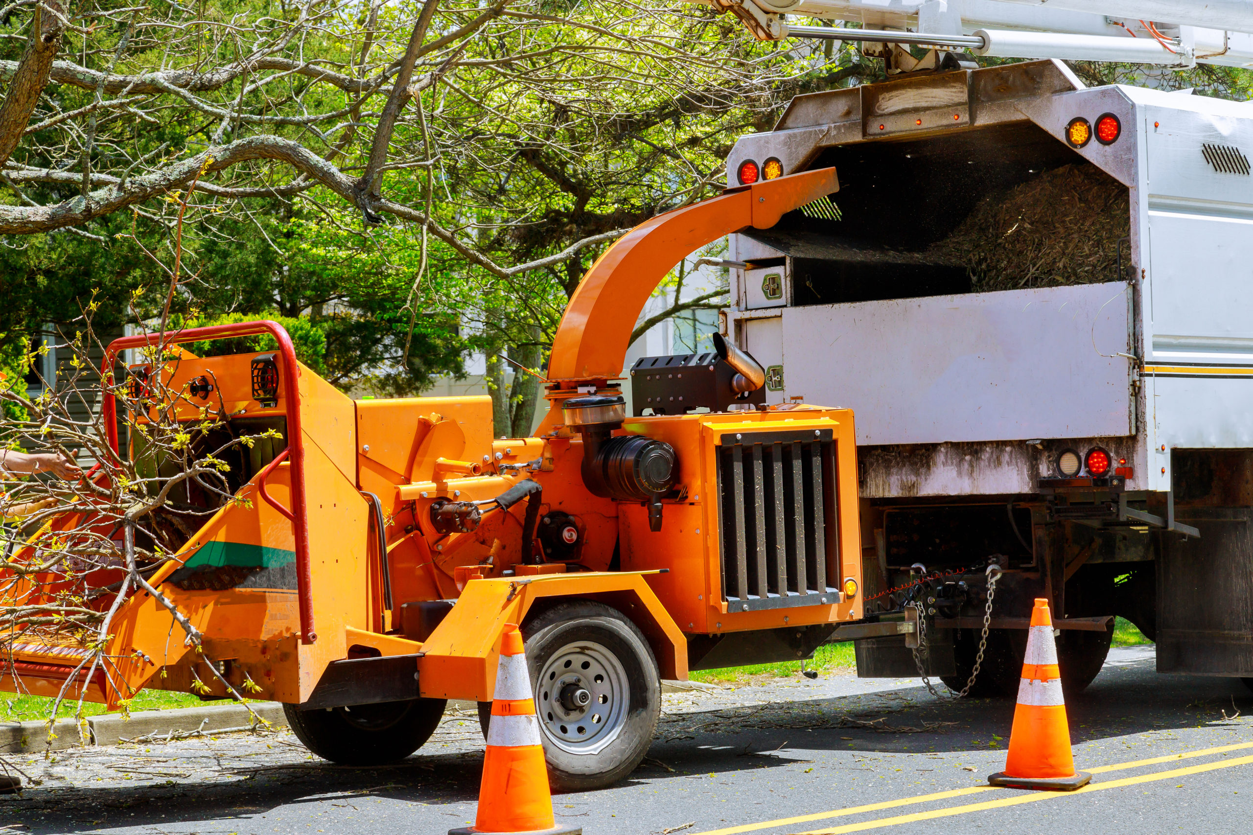 Wood chipper loaded cut green tree branches in urban neighborhood.